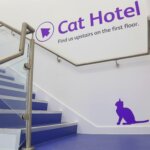Pride Vets Cat Hotel